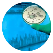 4-maitrise-bio-contamination-ico